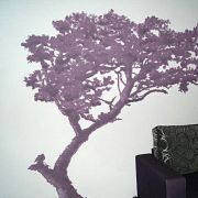 "Fioletowe drzewo" namalowane na ścianie / wnętrze prywatne